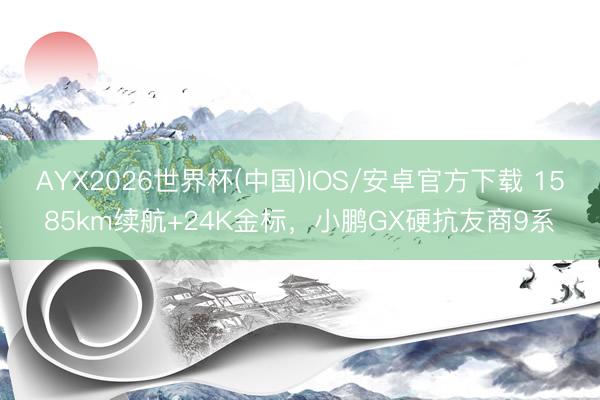 AYX2026世界杯(中国)IOS/安卓官方下载 1585km续航+24K金标，小鹏GX硬抗友商9系