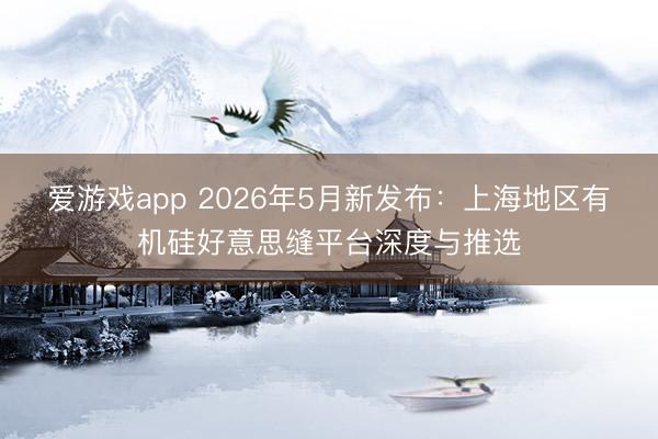 爱游戏app 2026年5月新发布:上海地区有机硅好意思缝平台深度与推选