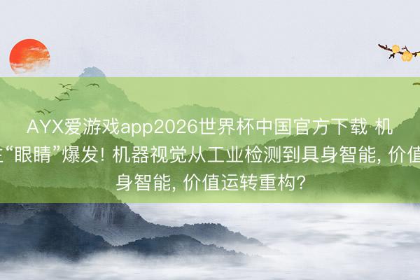 AYX爱游戏app2026世界杯中国官方下载 机器东说念主“眼睛”爆发! 机器视觉从工业检测到具身智能， 价值运转重构?