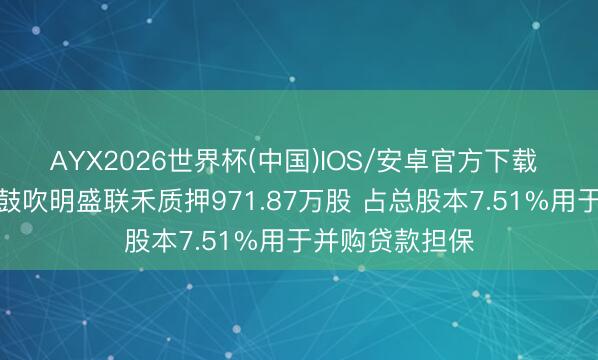 AYX2026世界杯(中国)IOS/安卓官方下载 盟国吊顶控股鼓吹明盛联禾质押971.87万股 占总股本7.51%用于并购贷款担保