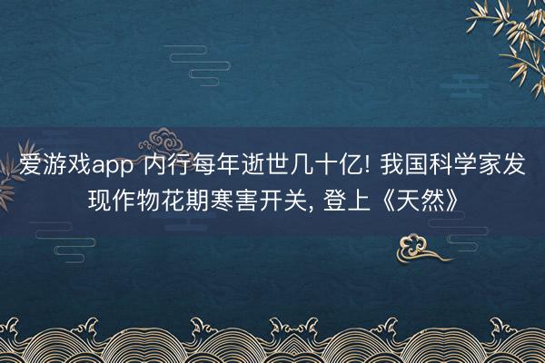 爱游戏app 内行每年逝世几十亿! 我国科学家发现作物花期寒害开关， 登上《天然》