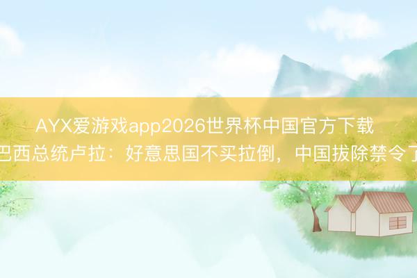 AYX爱游戏app2026世界杯中国官方下载 巴西总统卢拉：好意思国不买拉倒，中国拔除禁令了