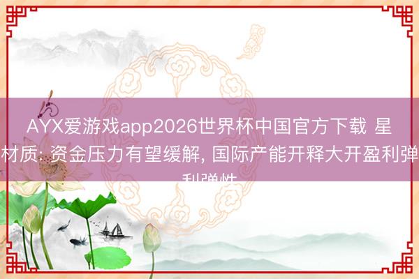 AYX爱游戏app2026世界杯中国官方下载 星源材质: 资金压力有望缓解， 国际产能开释大开盈利弹性