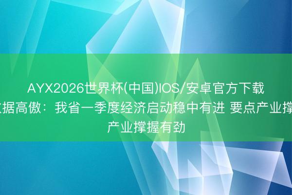 AYX2026世界杯(中国)IOS/安卓官方下载 税收数据高傲：我省一季度经济启动稳中有进 要点产业撑握有劲