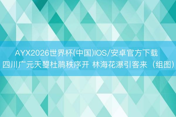 AYX2026世界杯(中国)IOS/安卓官方下载 四川广元天曌杜鹃秩序开 林海花瀑引客来（组图）