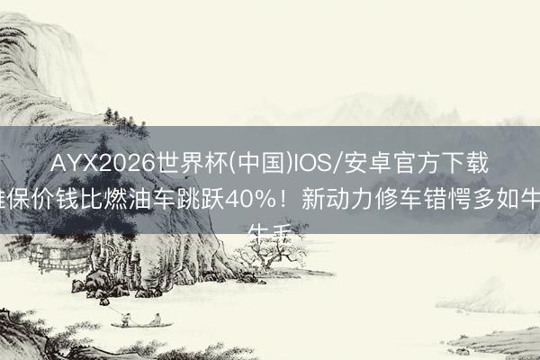 AYX2026世界杯(中国)IOS/安卓官方下载 维保价钱比燃油车跳跃40%！新动力修车错愕多如牛毛