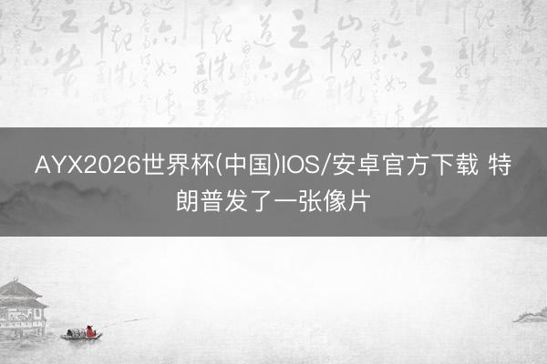 AYX2026世界杯(中国)IOS/安卓官方下载 特朗普发了一张像片